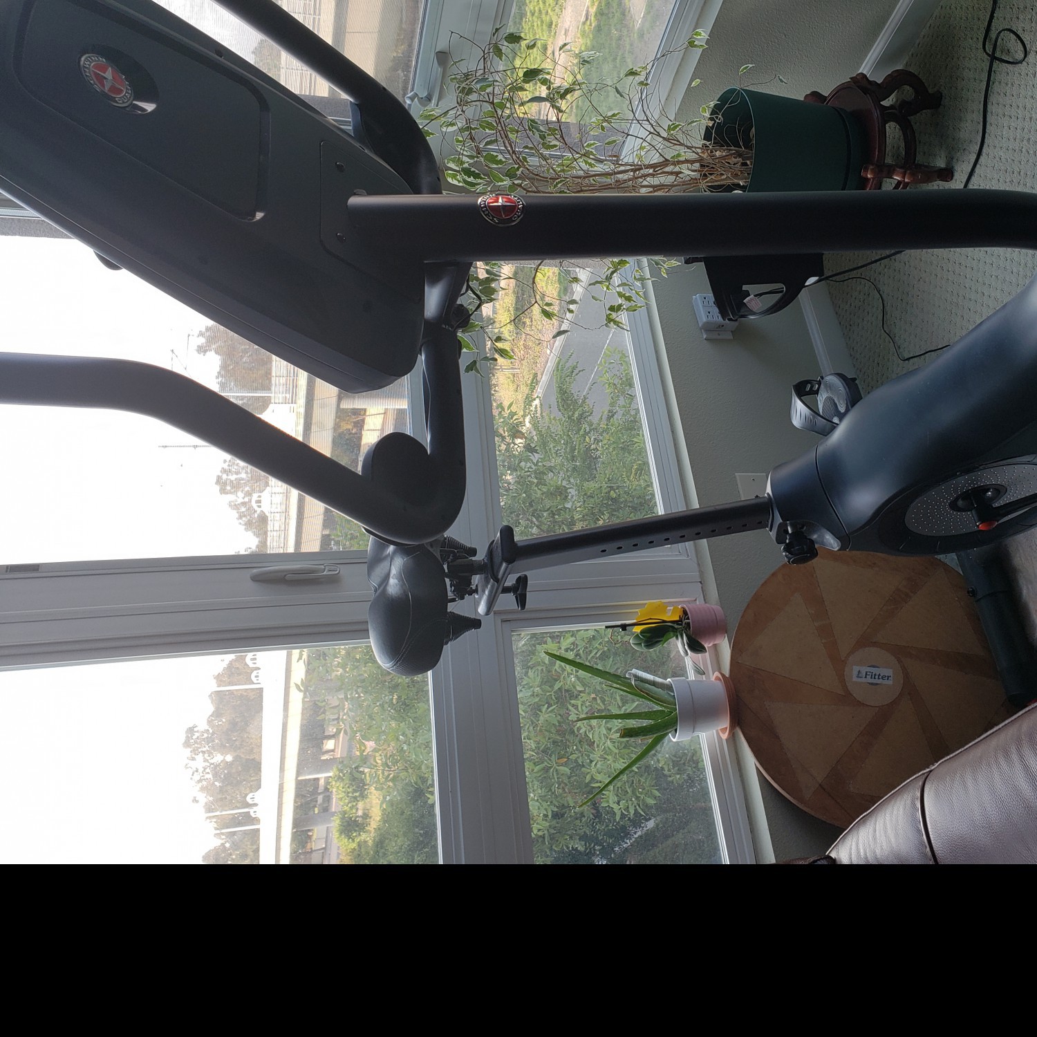 Schwinn 170 Exercise Bike