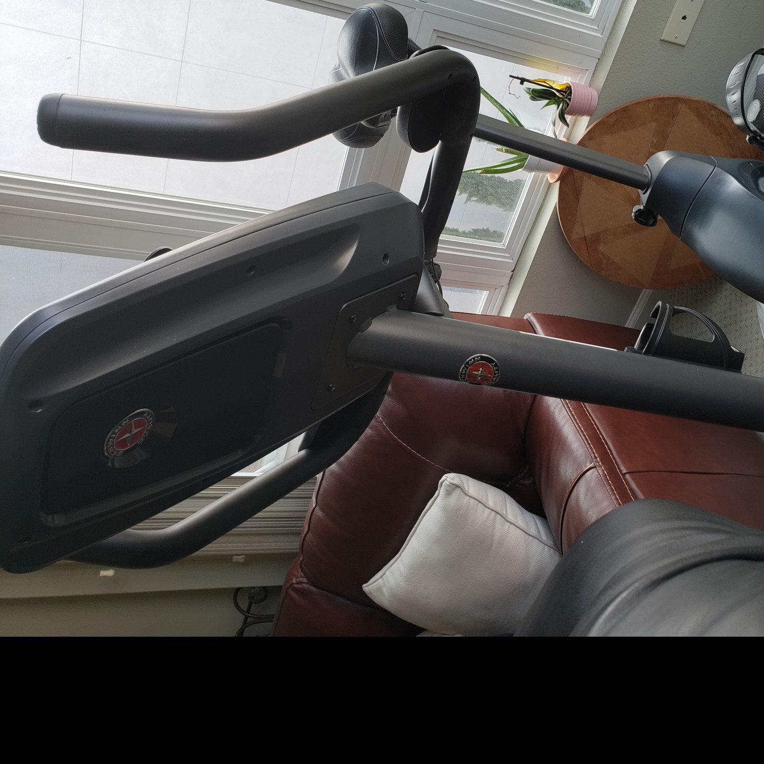 Schwinn 170 Exercise Bike