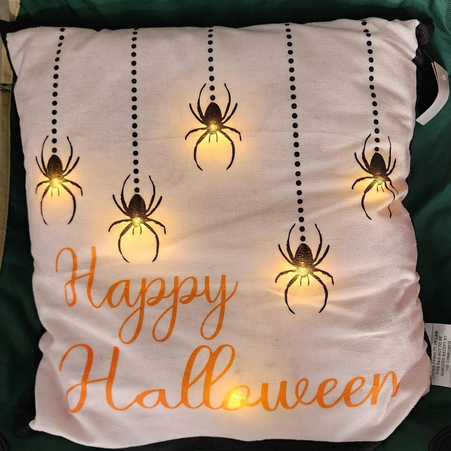 Lighted Halloween Pillow