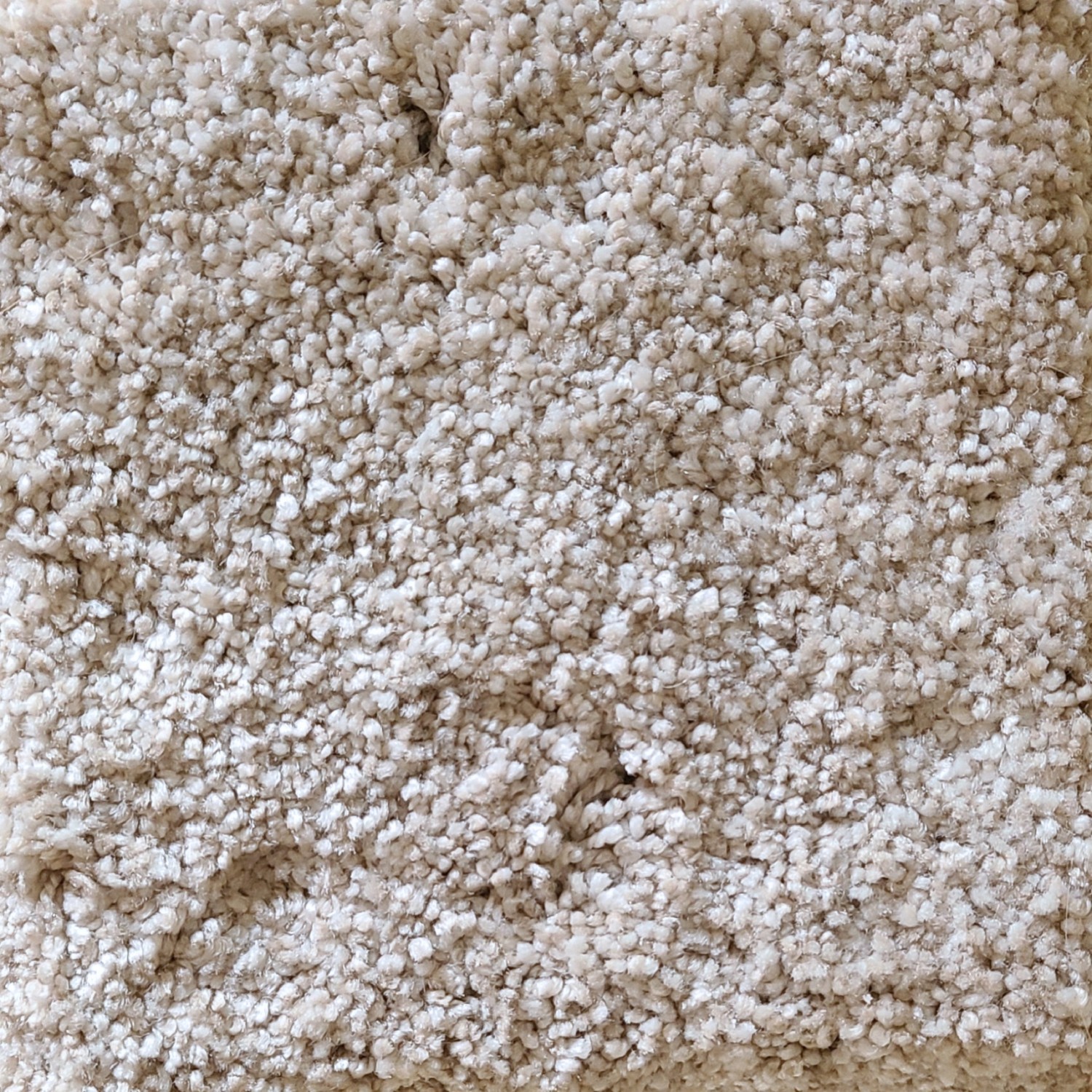 7 x 10 Hand bound off-white solid with light speckles area Rug