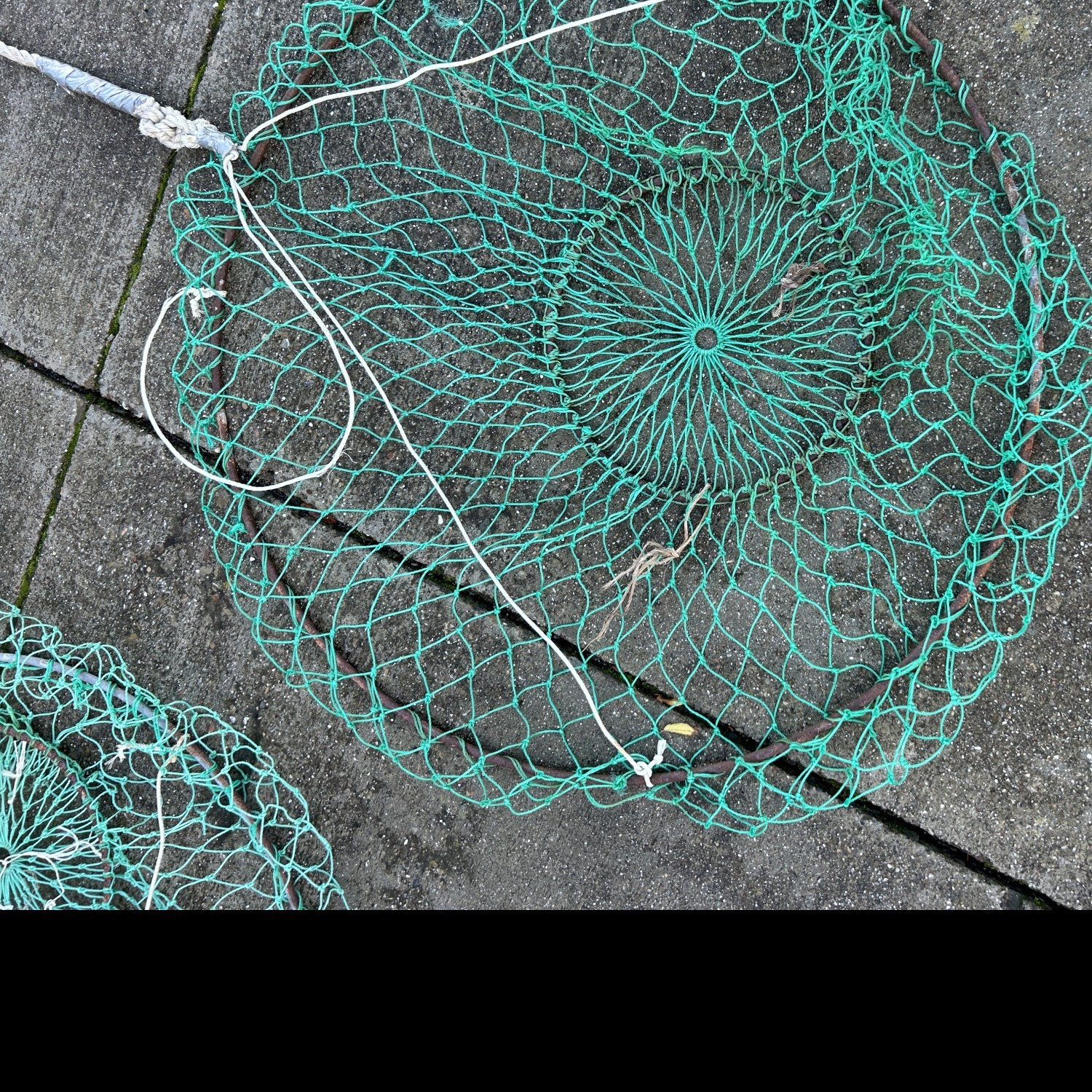 Fishing nets