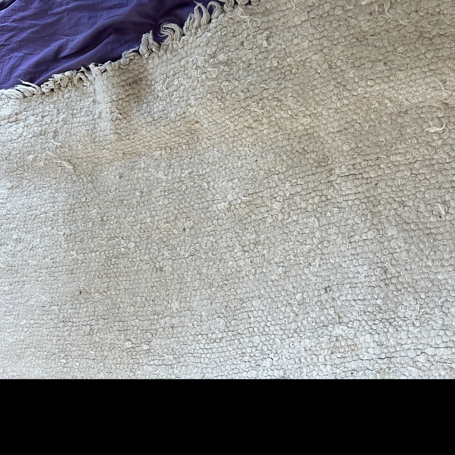 Two Area Rugs