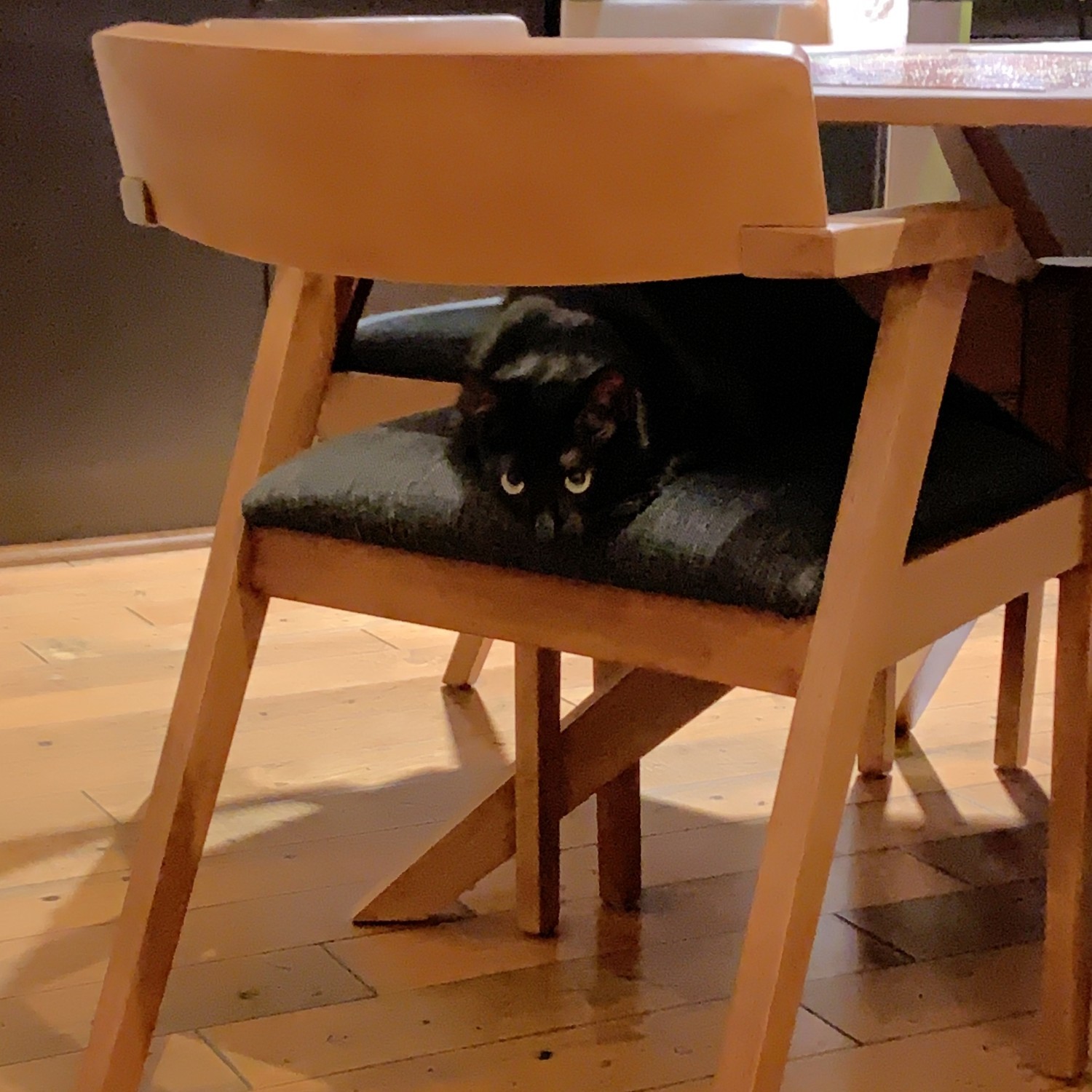 **CLEARANCE** Zola Dining Chairs - Licorice Set of 4 (Dining table sold separately)