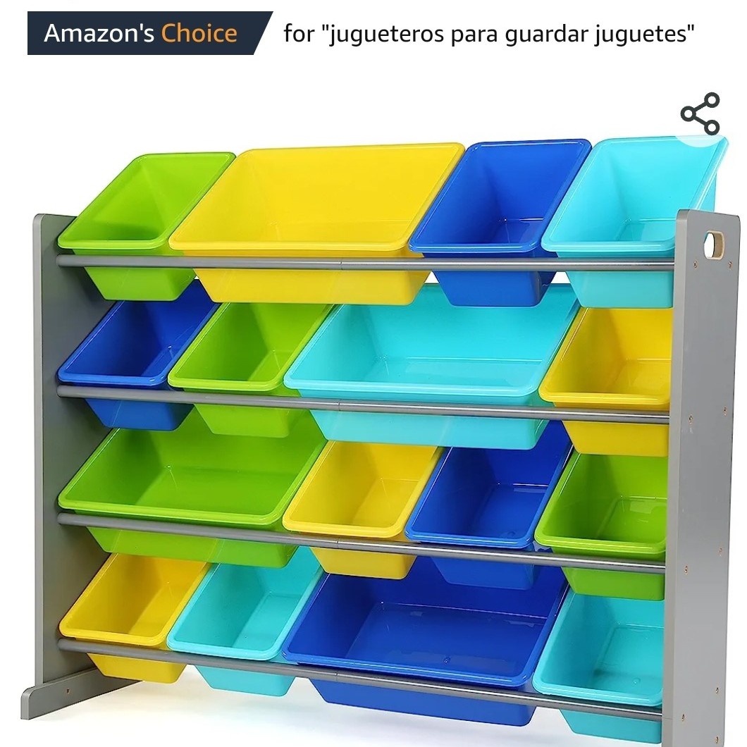 Multi Color Toy Organizer 