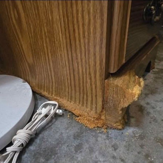 Antique Roll-up Desk