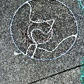 Fishing nets