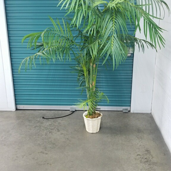 Faux Palm Tree