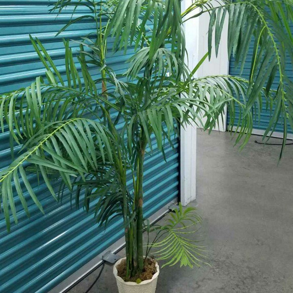 Faux Palm Tree